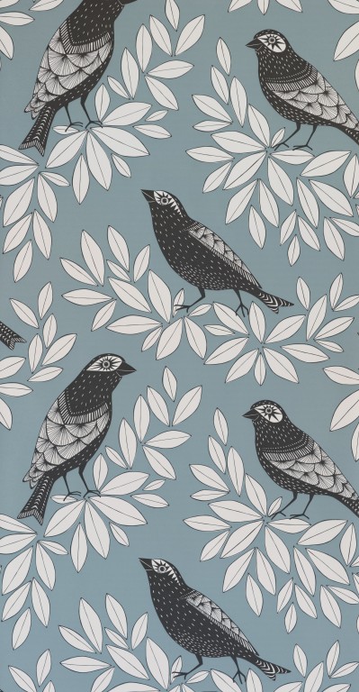 Songbird Blue Jay Wallpaper